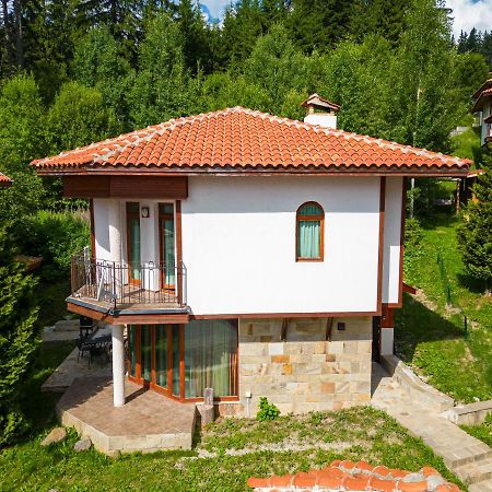 Pamporovo Cottage Savov المظهر الخارجي الصورة